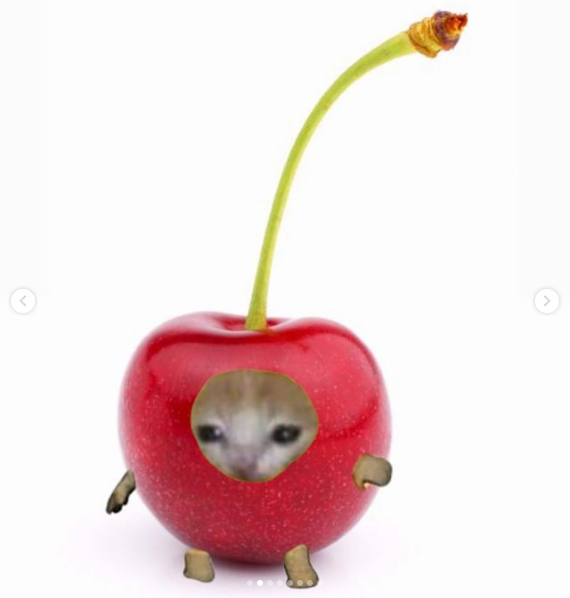 Fruity Cattos